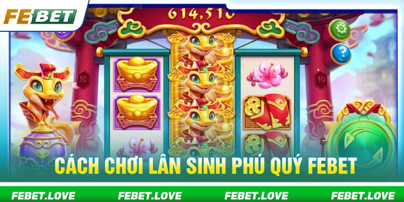 Lân sinh phú quý FEBET chơi nhue thế nào