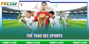 Thể thao IBC Sports