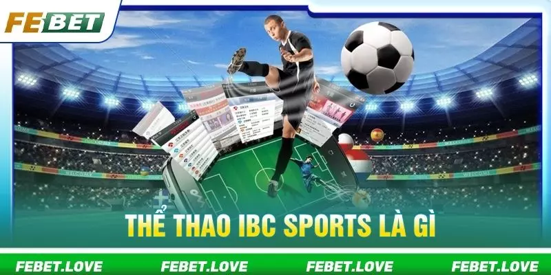 Thể thao IBC Sports là gì